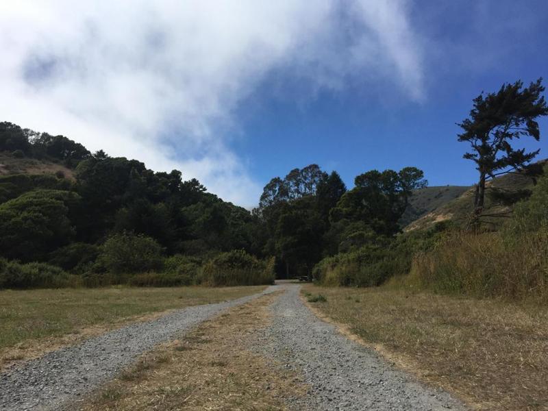 Empty Wagon Road