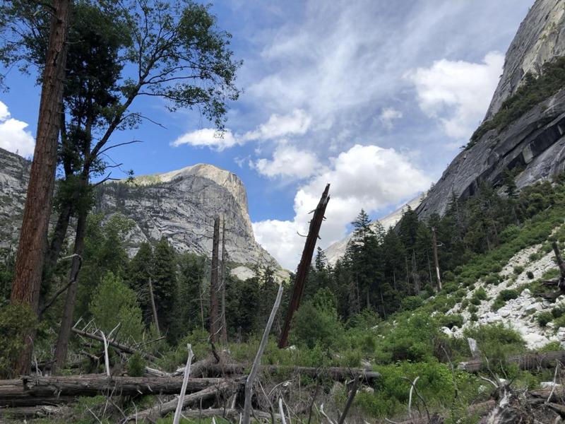 Forest in nestled in Rocky Mountain Peaks