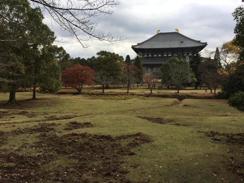 The Temple Grounds