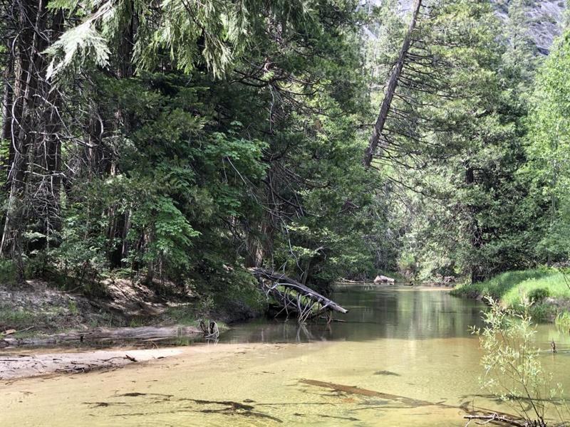 Quiet Mountain River